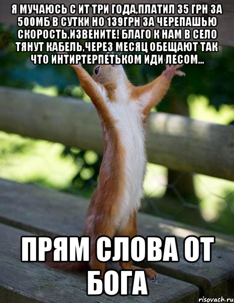 Я мучаюсь с ИТ три года,платил 35 грн за 500мб в сутки Но 139грн за черепашью скорость,извените! Благо к нам в село тянут кабель,через месяц обещают так что интиртерпетьком иди лесом... Прям слова от Бога, Мем    белка молится