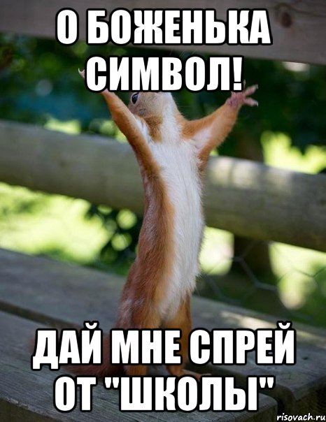 о боженька символ! дай мне спрей от "ШКОЛЫ", Мем    белка молится