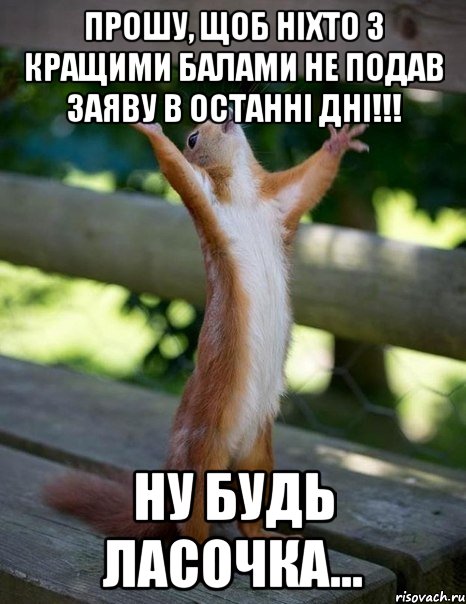 Прошу, щоб ніхто з кращими балами не подав заяву в останні дні!!! Ну будь ласочка..., Мем    белка молится