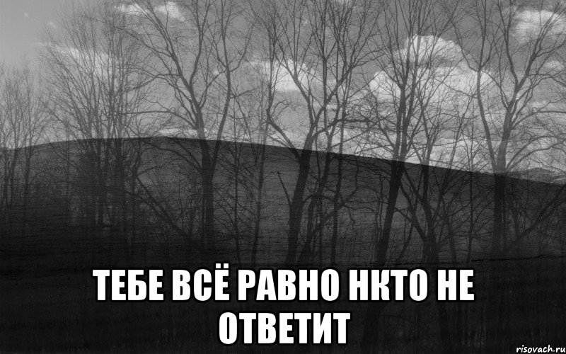  тебе всё равно нкто не ответит, Мем безысходность лес