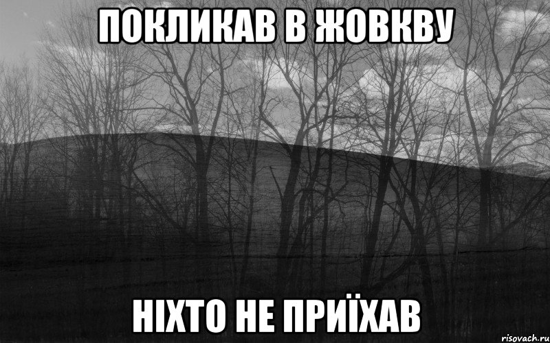 покликав в жовкву ніхто не приїхав, Мем безысходность лес