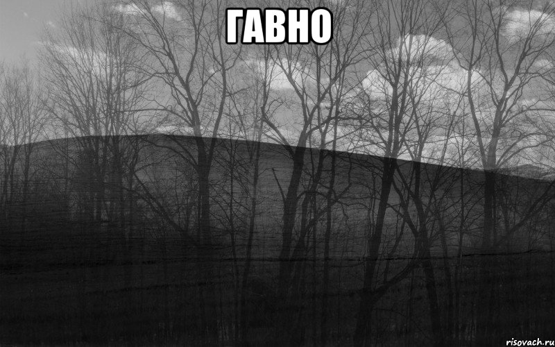 гавно 