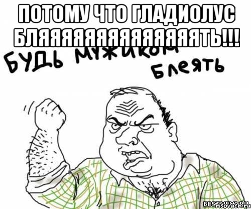 потому что гладиолус бляяяяяяяяяяяяяять!!! , Мем блять