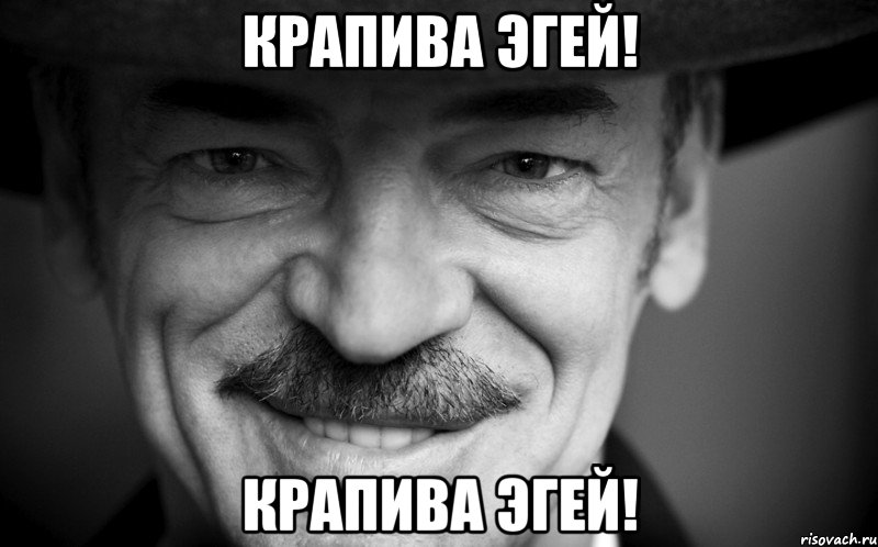 крапива эгей! крапива эгей!, Мем боярский