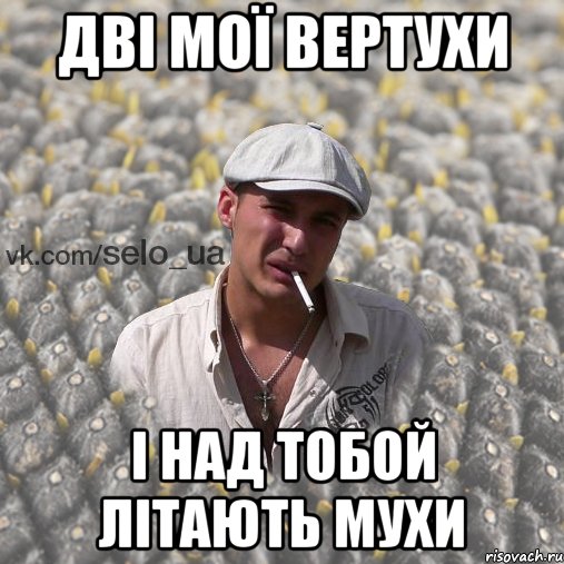 дві мої вертухи і над тобой літають мухи