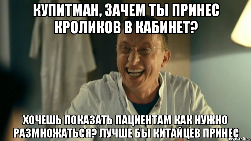 Купитман, зачем ты принес кроликов в кабинет? Хочешь показать пациентам как нужно размножаться? Лучше бы китайцев принес