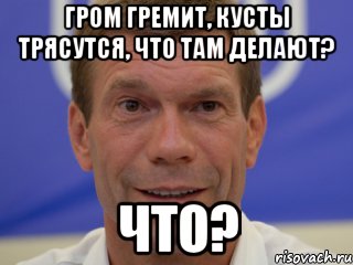 гром гремит, кусты трясутся, что там делают? ЧТО?