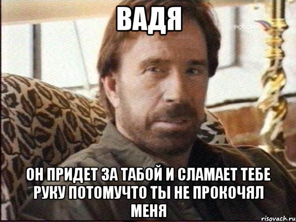 вадя он придет за табой и сламает тебе руку потомучто ты не прокочял меня, Мем чак норрис