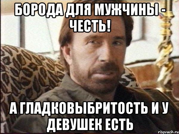 Борода для мужчины - честь! А гладковыбритость и у девушек есть, Мем чак норрис