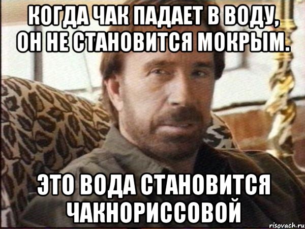 Когда Чак падает в воду, он не становится мокрым. Это вода становится Чакнориссовой, Мем чак норрис