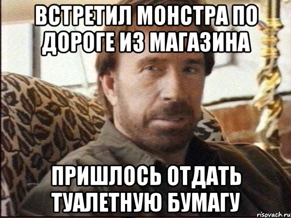 ВСТРЕТИЛ МОНСТРА ПО ДОРОГЕ ИЗ МАГАЗИНА ПРИШЛОСЬ ОТДАТЬ ТУАЛЕТНУЮ БУМАГУ, Мем чак норрис