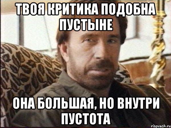 Твоя критика подобна пустыне она большая, но внутри пустота, Мем чак норрис