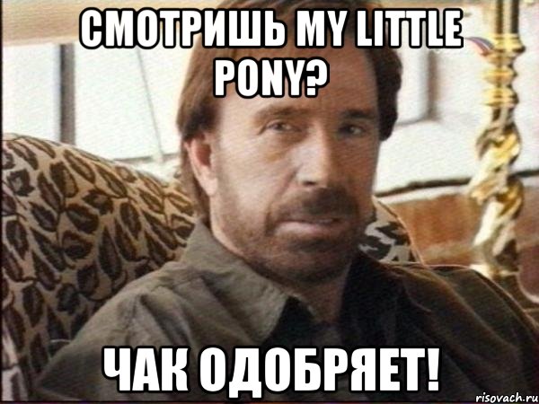 Смотришь My Little Pony? Чак одобряет!, Мем чак норрис