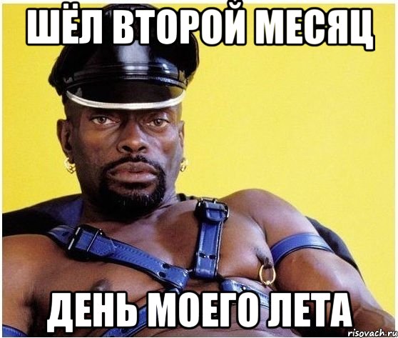 Шёл второй месяц день моего лета, Мем Черный властелин