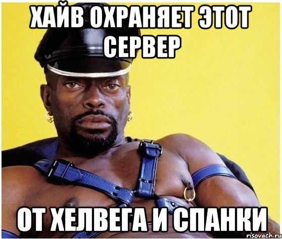 ХАЙВ ОХРАНЯЕТ ЭТОТ СЕРВЕР ОТ ХЕЛВЕГА И СПАНКИ, Мем Черный властелин