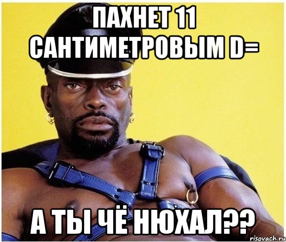 Пахнет 11 сантиметровым D= А ты чё нюхал??, Мем Черный властелин