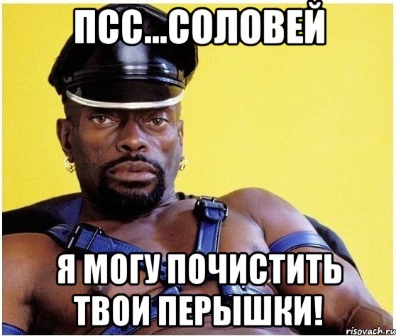 псс...соловей я могу почистить твои перышки!, Мем Черный властелин