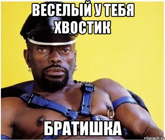 Веселый у тебя хвостик Братишка, Мем Черный властелин