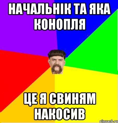 начальнік та яка конопля це я свиням накосив