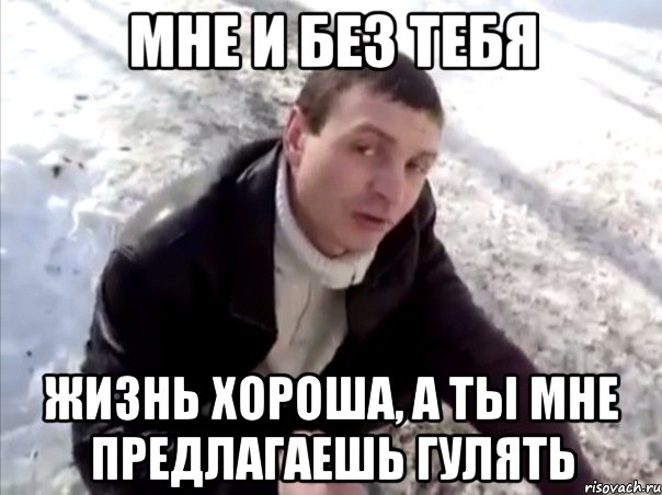 Мне и без тебя Жизнь хороша, а ты мне предлагаешь гулять, Мем Четко