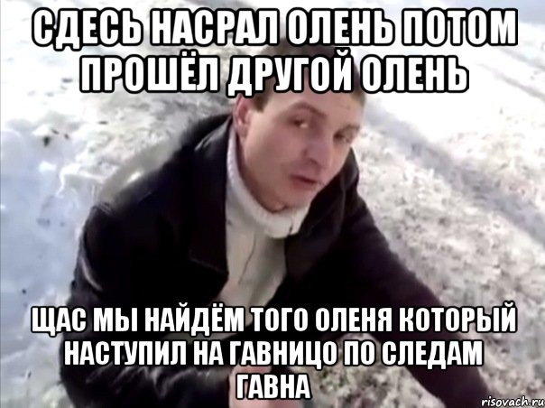 Сдесь насрал олень потом прошёл другой олень Щас мы найдём того оленя который наступил на гавницо по следам гавна, Мем Четко