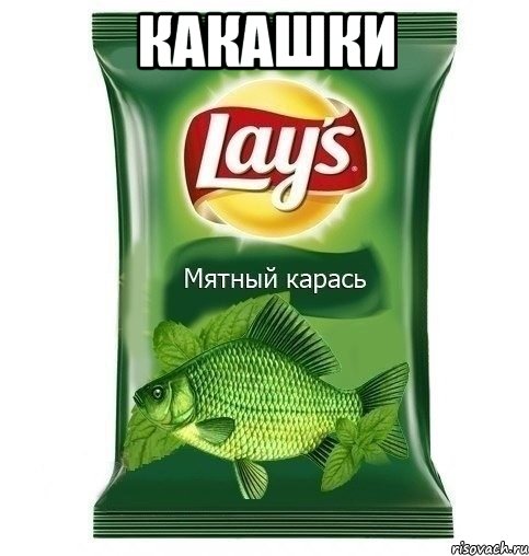 какашки 