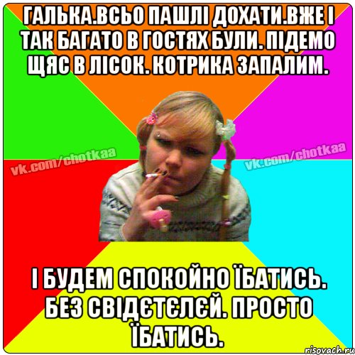 Галька.всьо пашлі дохати.вже і так багато в гостях були. Підемо щяс в лісок. котрика запалим. І будем спокойно їбатись. Без свідєтєлєй. Просто їбатись., Мем Чотка тьола NEW 2