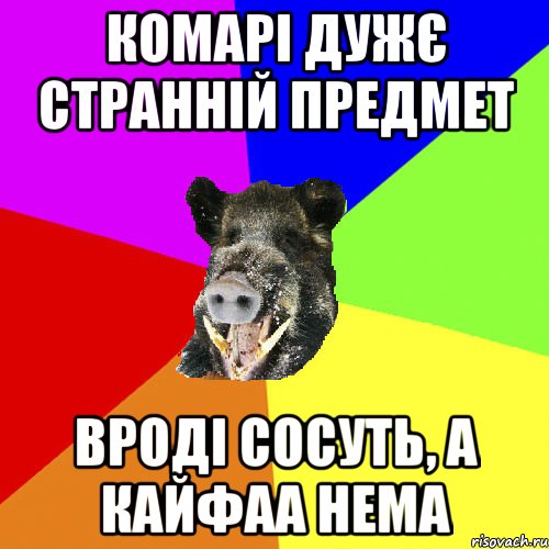 Комарі дужє странній предмет вроді сосуть, а кайфаа нема