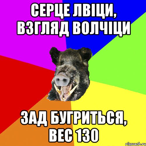 серце лвіци, взгляд волчіци зад бугриться, вес 130
