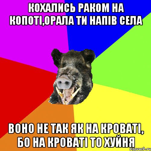 кохались раком на копоті,орала ти напів села воно не так як на кроваті, бо на кроваті то хуйня