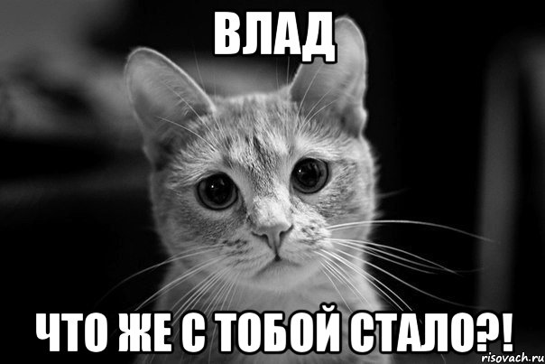 Влад Что же с тобой стало?!