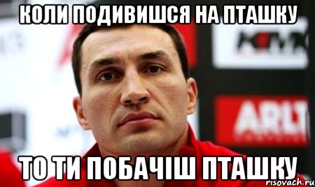 коли подивишся на пташку то ти побачіш пташку, Мем  Цитати Кличка