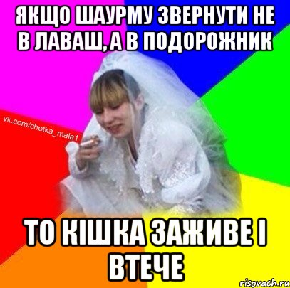 Якщо шаурму звернути не в лаваш, а в подорожник то кішка заживе і втече