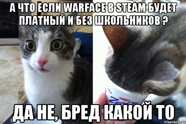 А что Если Warface в Steam будет платный и без школьников ? Да не, бред какой то