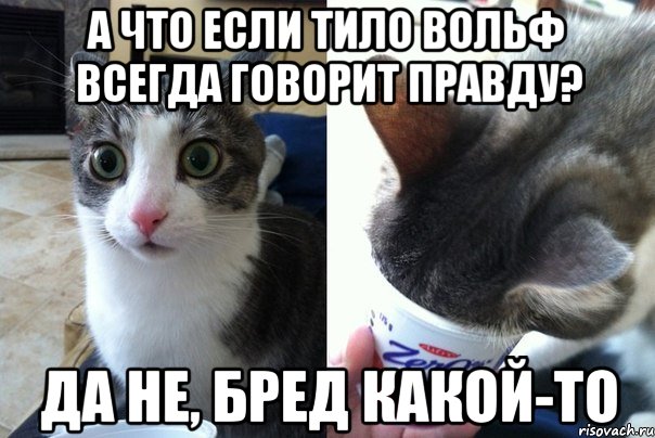 А что если Тило Вольф всегда говорит правду? Да не, бред какой-то, Комикс  Да не бред-какой-то (2 зоны)