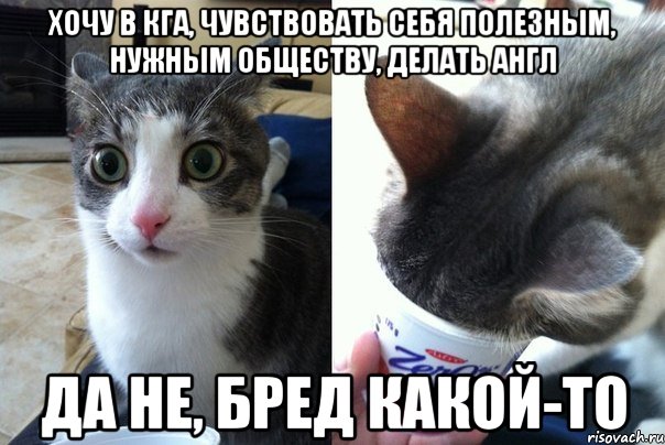 Хочу в КГА, чувствовать себя полезным, нужным обществу, делать англ да не, бред какой-то, Комикс  Да не бред-какой-то (2 зоны)