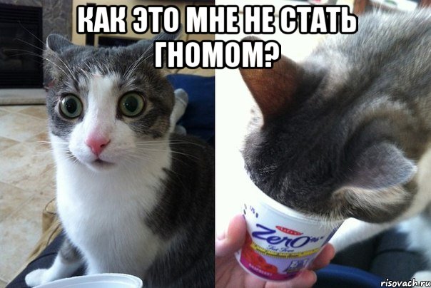 Как это мне не стать гномом? , Комикс  Да не бред-какой-то (2 зоны)