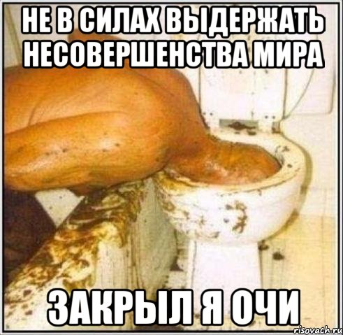 Не в силах выдержать несовершенства мира закрыл я очи, Мем Дайвер