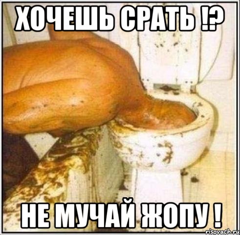 Хочешь Срать !? Не мучай Жопу !, Мем Дайвер