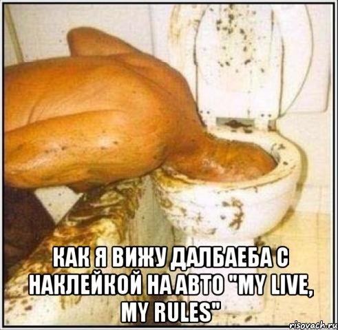  как я вижу далбаеба с наклейкой на авто "my live, my rules", Мем Дайвер