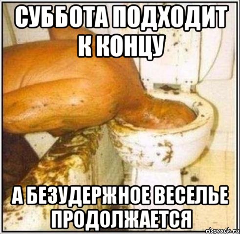 СУББОТА ПОДХОДИТ К КОНЦУ А БЕЗУДЕРЖНОЕ ВЕСЕЛЬЕ ПРОДОЛЖАЕТСЯ, Мем Дайвер