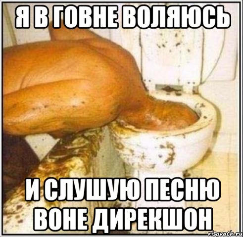 Я в говне воляюсь И слушую песню воне дирекшон, Мем Дайвер
