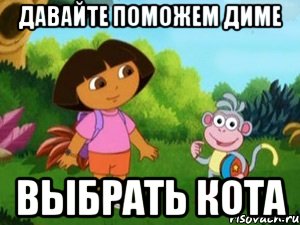 ДАВАЙТЕ ПОМОЖЕМ ДИМЕ ВЫБРАТЬ КОТА