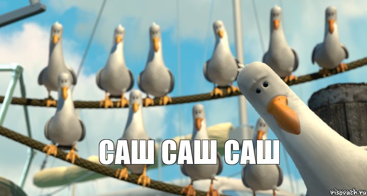 саш саш саш