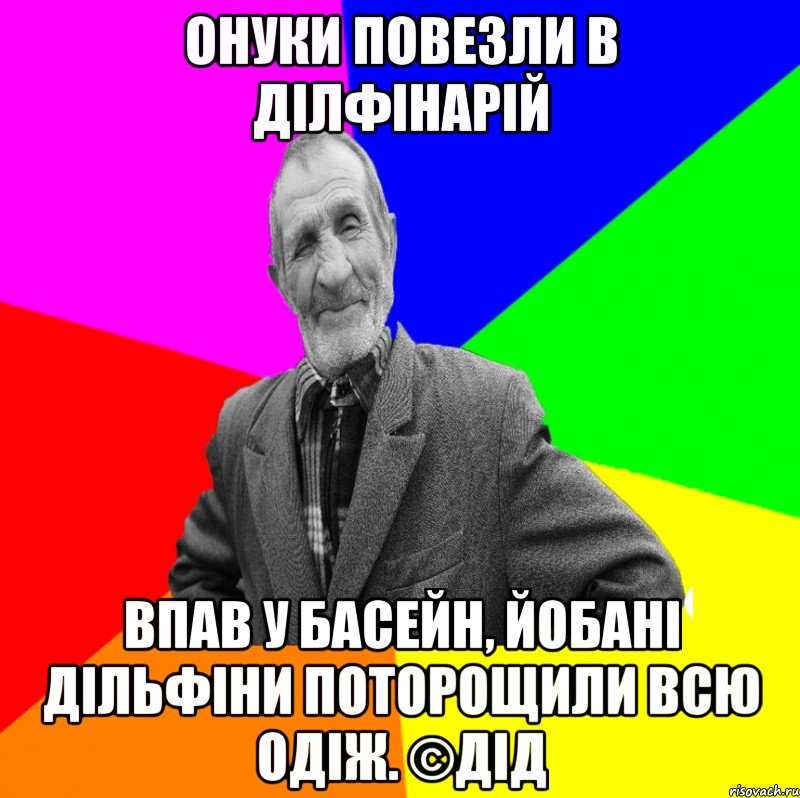 Онуки повезли в ділфінарій Впав у басейн, йобані дільфіни поторощили всю одіж. ©Дід, Мем ДЕД