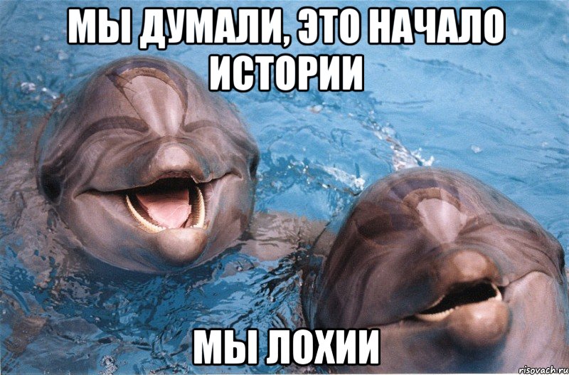 мы думали, это начало истории мы лохии