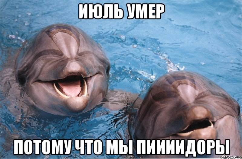 Июль умер Потому что мы пиииидоры