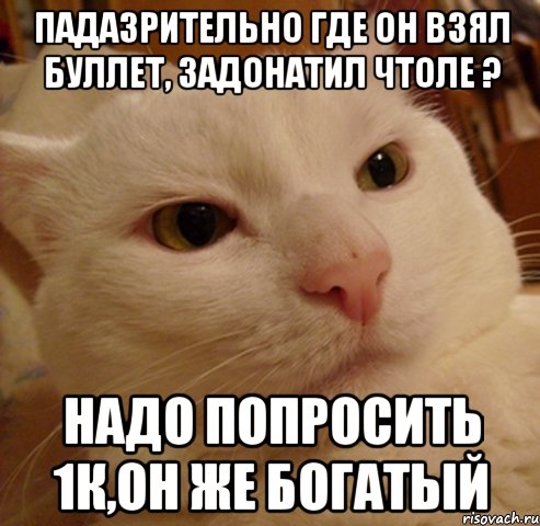 Падазрительно где он взял буллет, задонатил чтоле ? Надо попросить 1к,он же богатый, Мем Дерзкий котэ