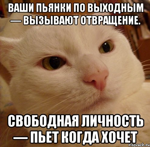 http://risovach.ru/upload/2014/07/mem/derzkij-kote_55164160_orig_.jpg