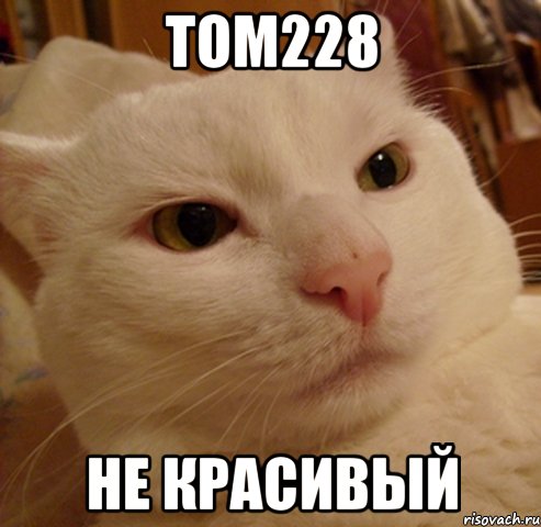 Том228 не красивый, Мем Дерзкий котэ